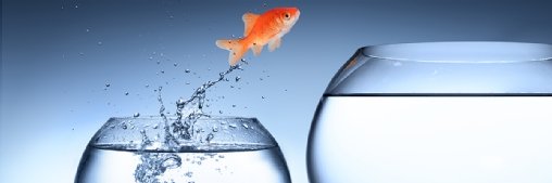 Distology hands Sarah Geary sales role